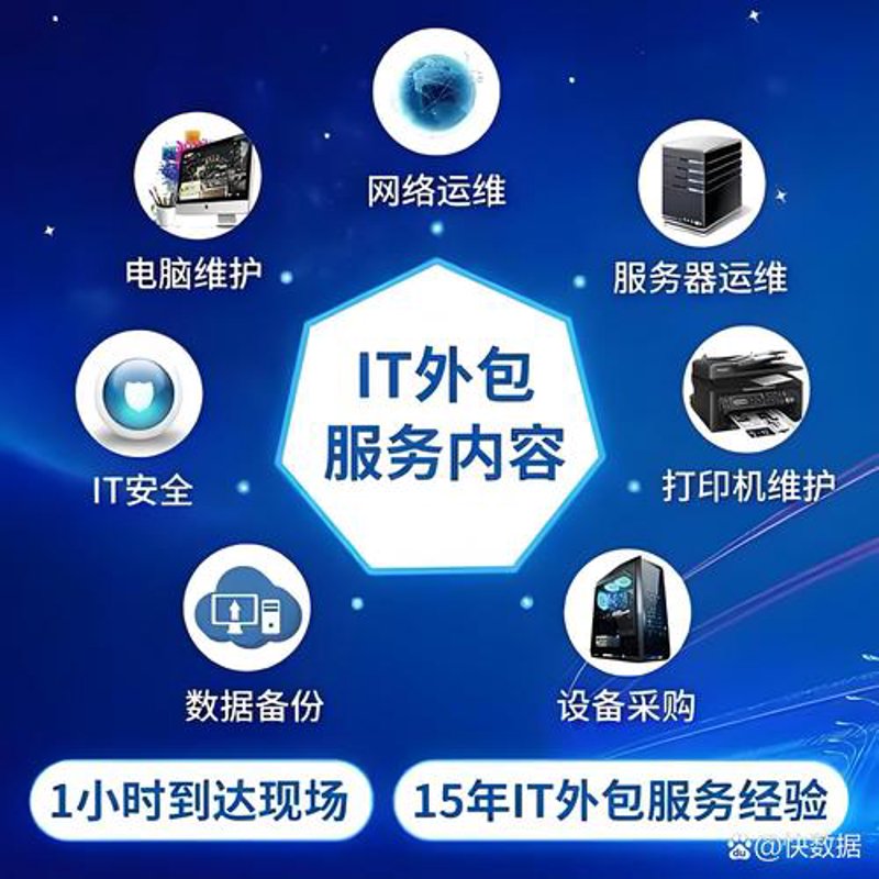 洞见未来：湖南软件开发公司的行业风向标