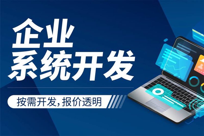 湖南软件开发公司:推动数字化转型的新引擎